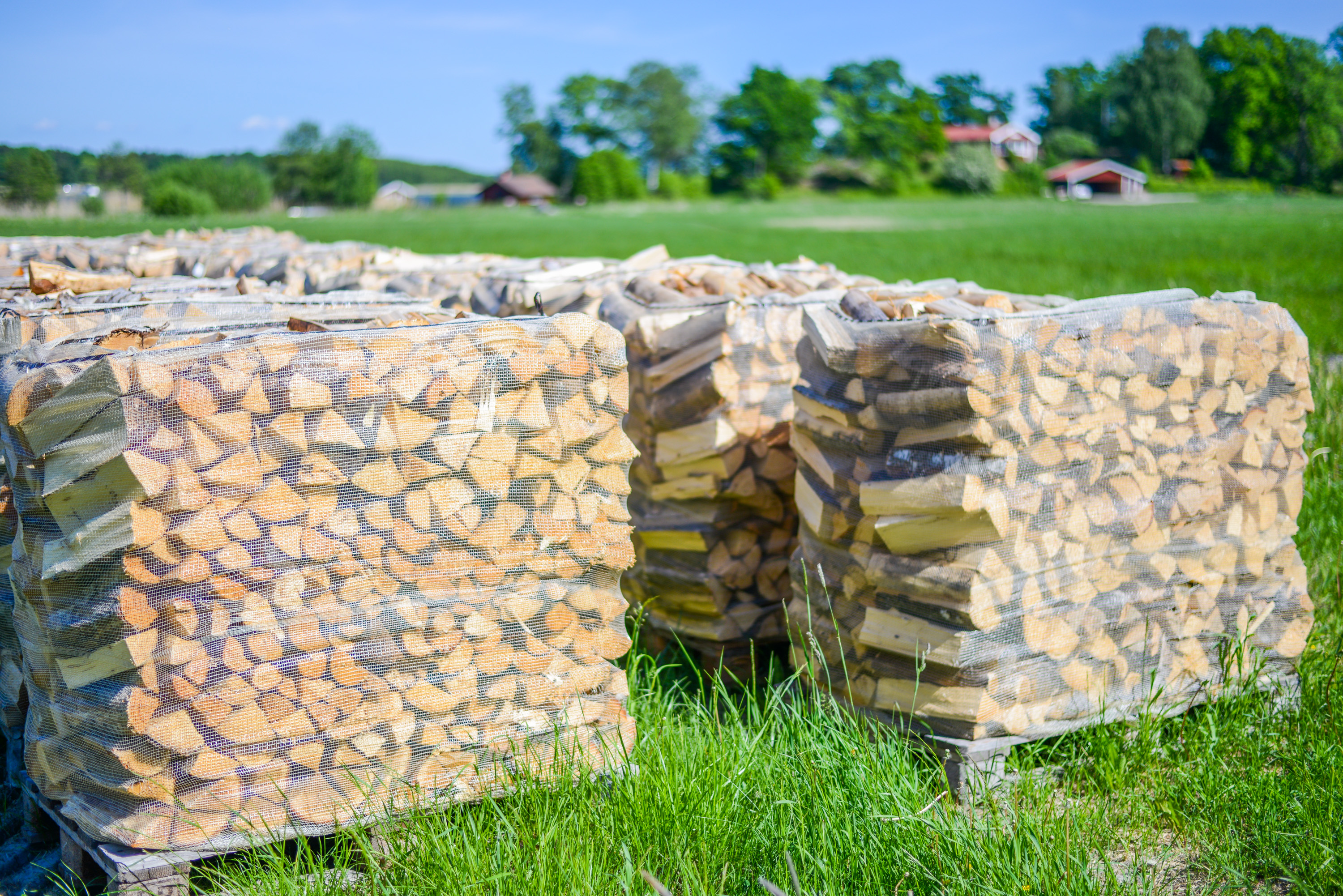 Piles of wood at Svedäng